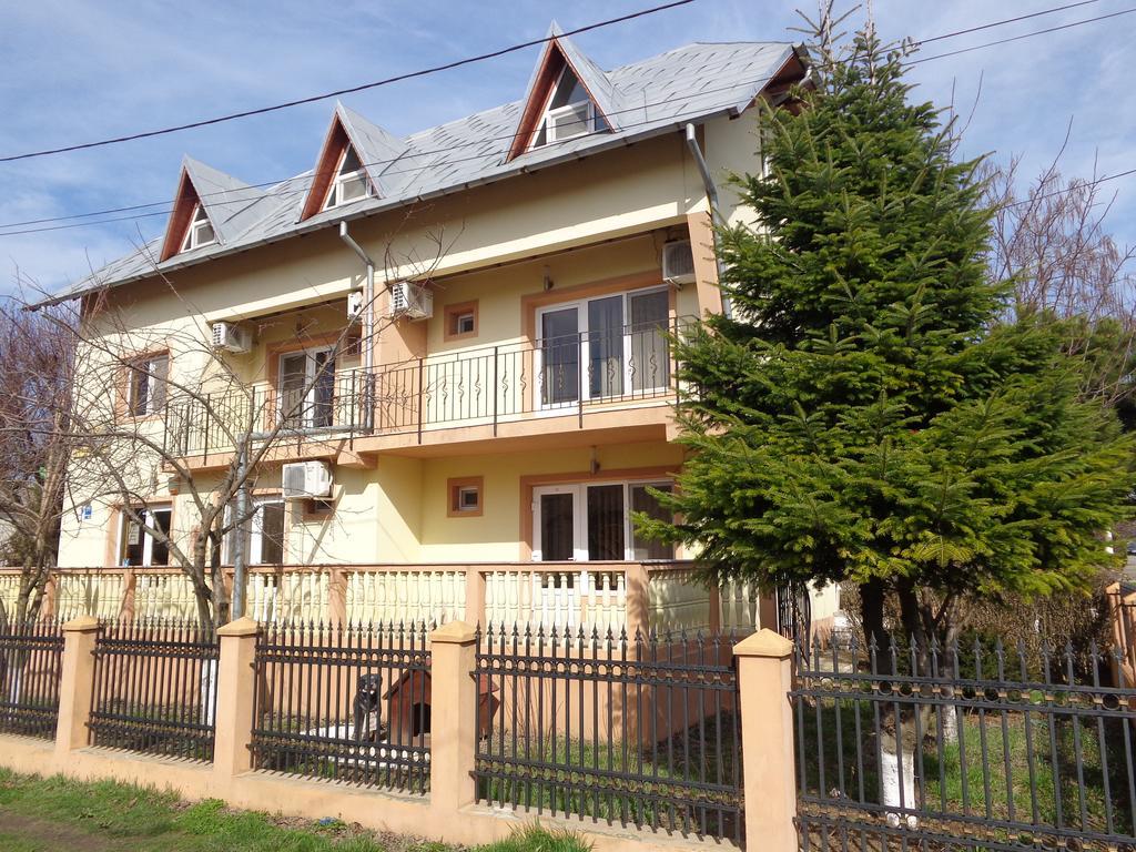 Pensiunea Casa Johnelly Костинещи Екстериор снимка